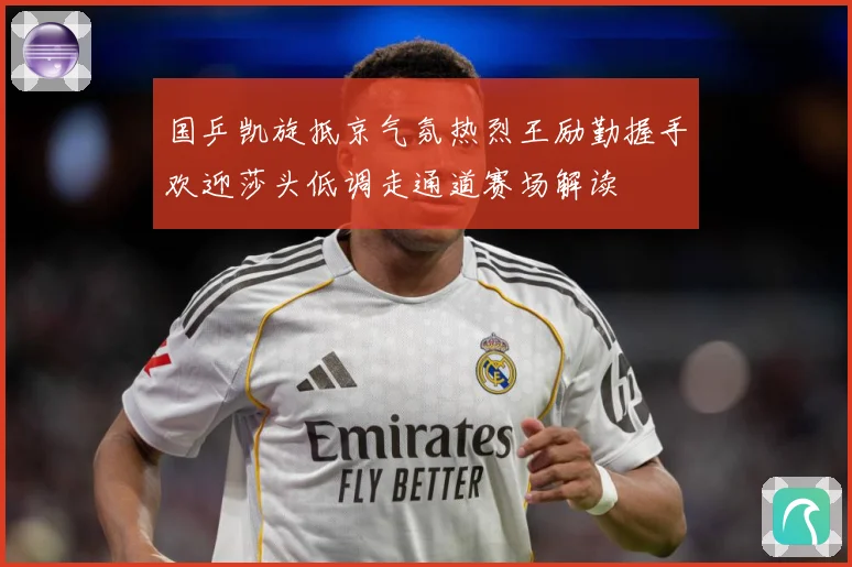 国乒凯旋抵京气氛热烈王励勤握手欢迎莎头低调走通道赛场解读