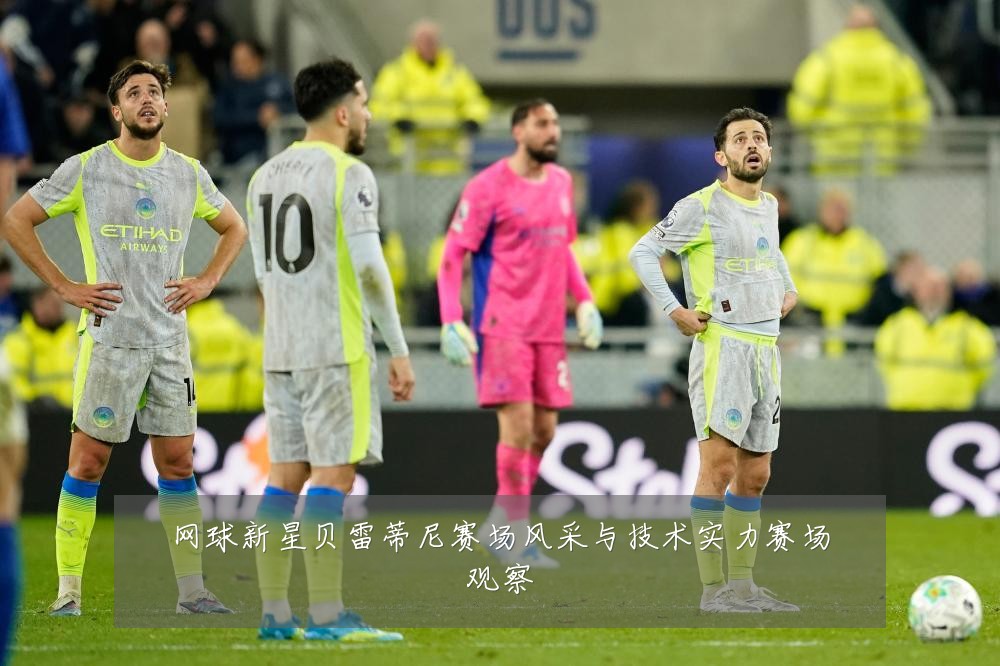 网球新星贝雷蒂尼赛场风采与技术实力赛场观察